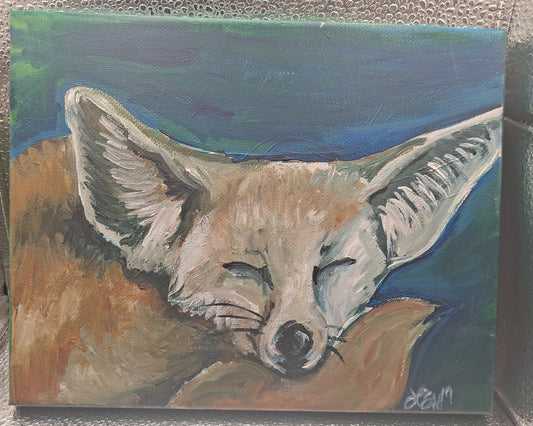 Sleeping Fennec